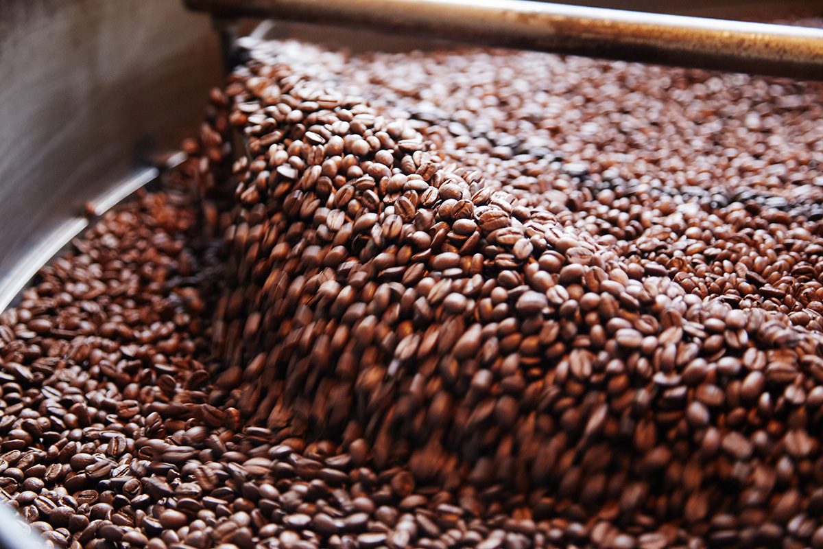 Roasted beans in the cooling tray.