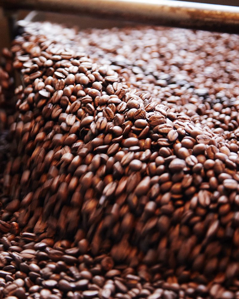 Freshly roasted coffee beans in the roaster's cooling tray.